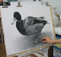 鳥を描いている手