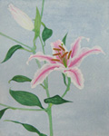 日本画
