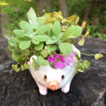 ファミリー陶芸