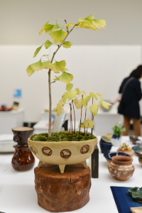 陶芸クラス作品